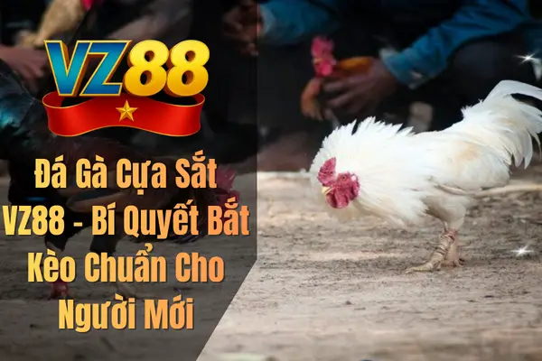 Đá Gà Cựa Sắt VZ88 – Bí Quyết Bắt Kèo Chuẩn Cho Người Mới