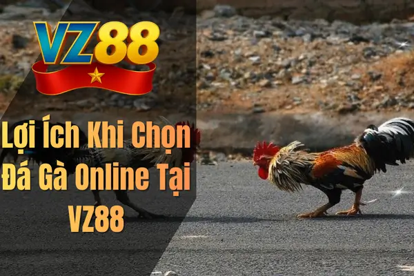 Lợi Ích Khi Chọn Đá Gà Online Tại VZ88