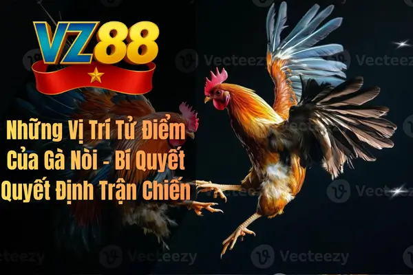 Những Vị Trí Tử Điểm Của Gà Nòi – Bí Quyết Quyết Định Trận Chiến