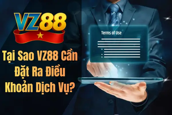 Tại Sao VZ88 Cần Đặt Ra Điều Khoản Dịch Vụ?