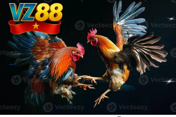 Yếu Tố Quyết Định Khi Bắt Kèo